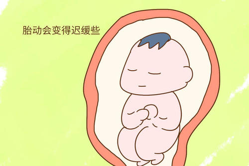 东莞长安怀孕18周胎儿彩超?